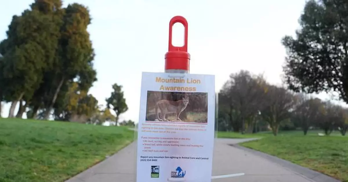 Mountain lion roams posh San Francisco neighborhood before being captured