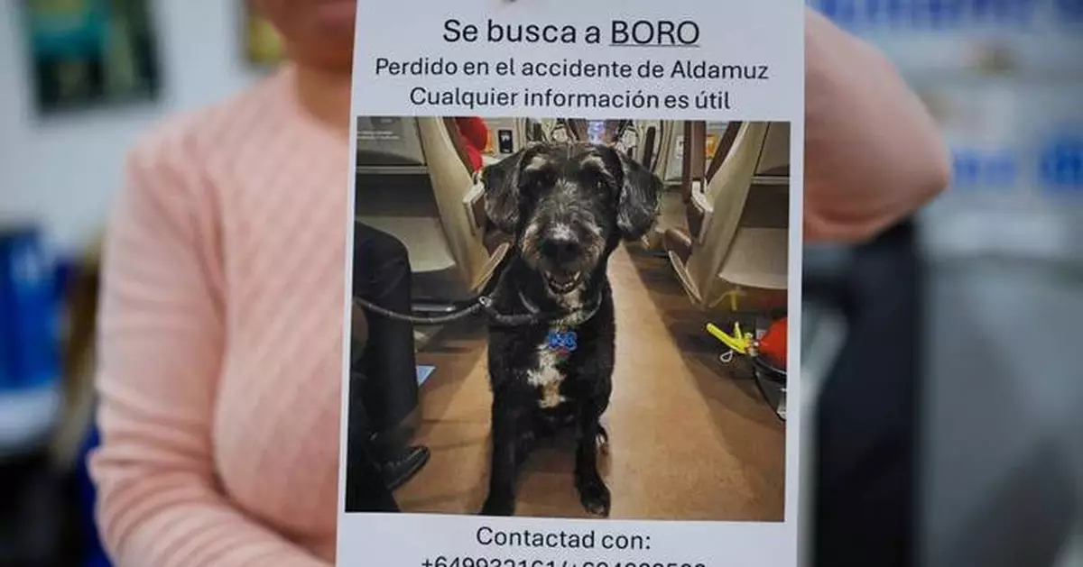 Survivor of Spain's train crash pleads for help finding her dog Boro, and social media users rally