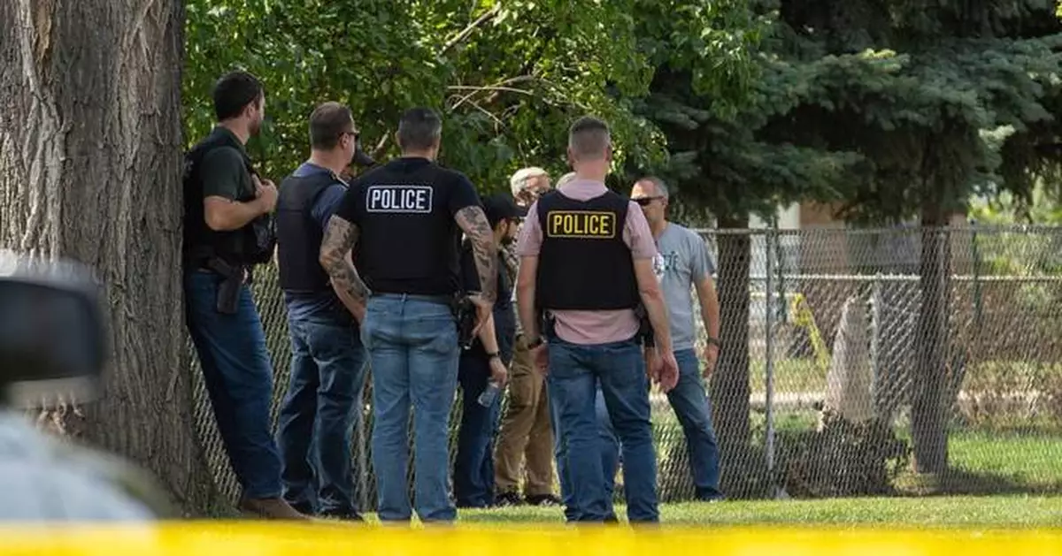 Driver shot in Minneapolis is at least the fifth person killed in US immigration crackdown