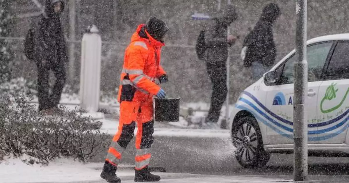 To clear ice and snow, there are rock salt alternatives that are safer for your pets and yard