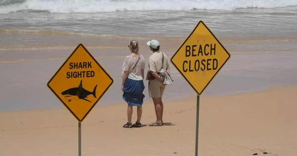 Surfer bitten in 4th shark attack off Australia's east coast in 3 days