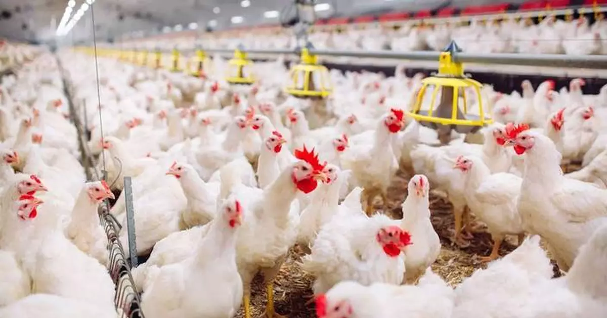 KENT® Nutrition’s ARGIS® Featured in IPPE New Product Showcase