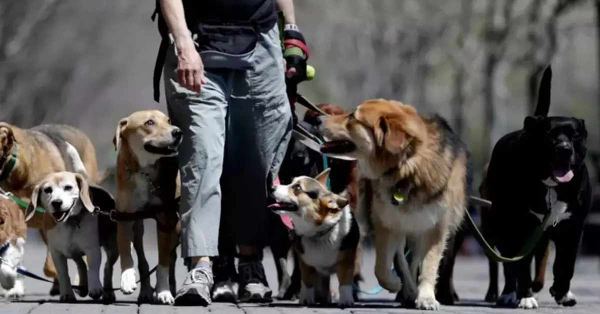 Why ordering takeout or calling the dog walker might lead to a happier relationship