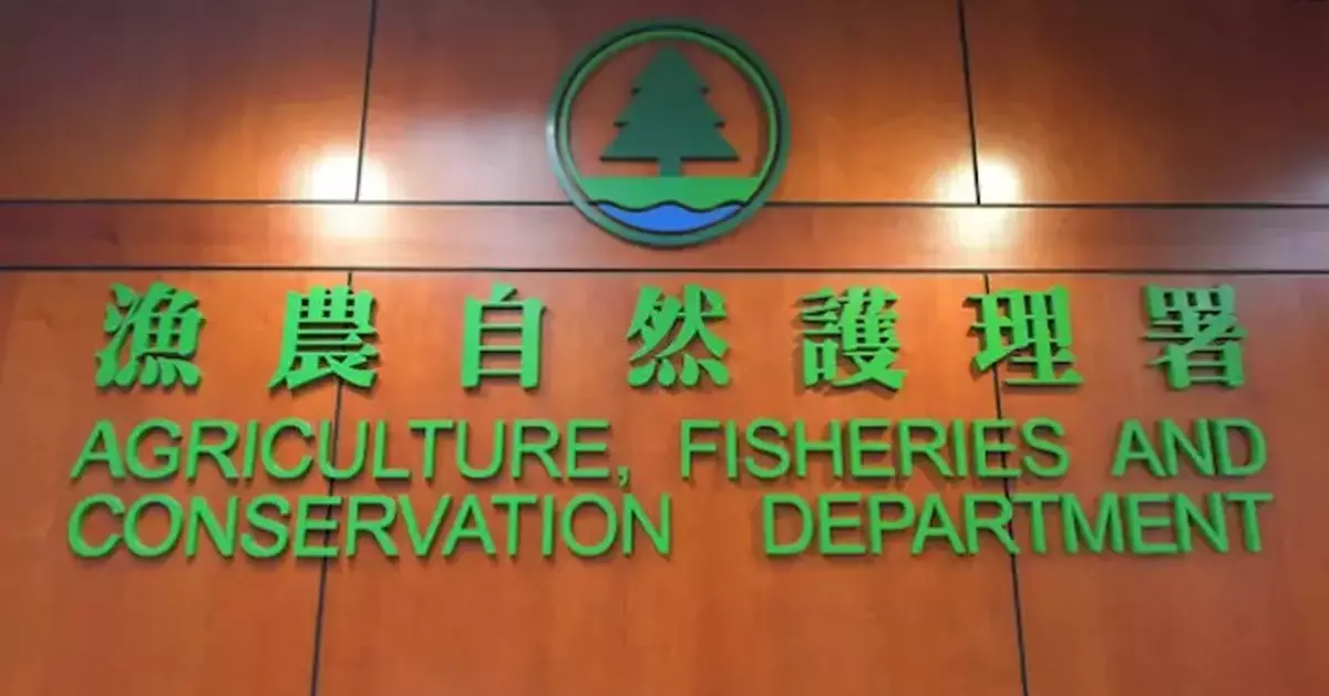 Hong Kong Launches Dog Vaccination Campaign at Fishing Ports to Combat Rabies