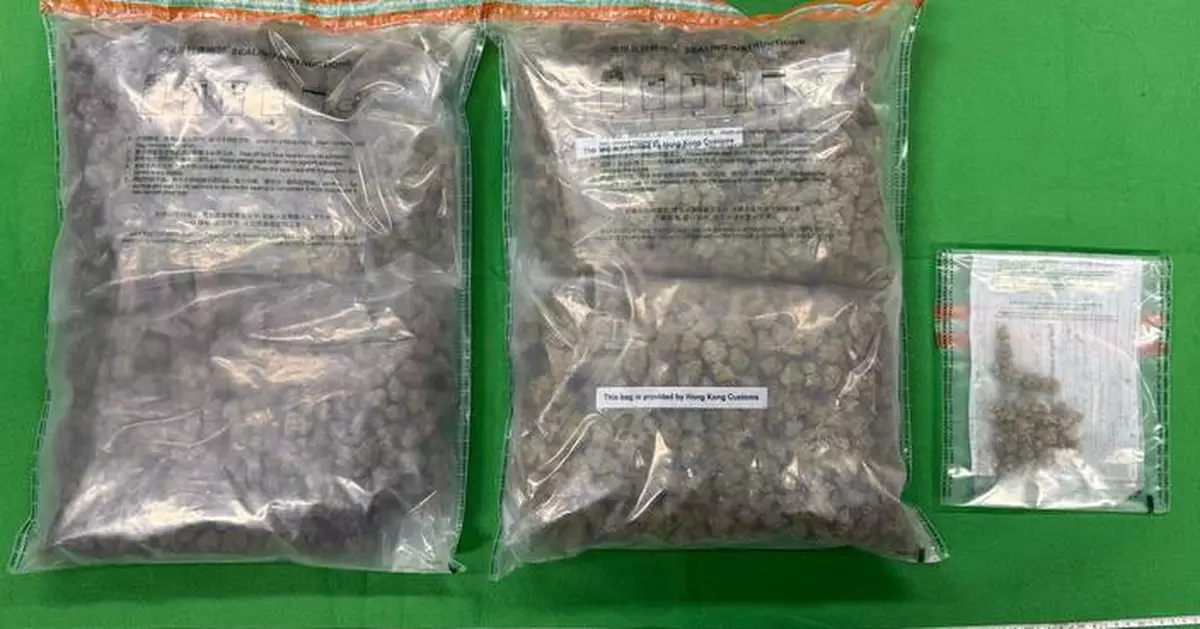 Hong Kong Customs Seizes 2.81 kg of Cannabis, Arrests Suspect in Fo Tan.