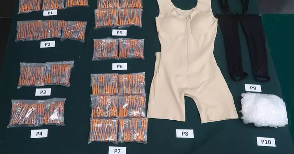 Customs Seizes $300,000 in Smuggled Pharmaceuticals; Passenger Sentenced to Six Months Imprisonment