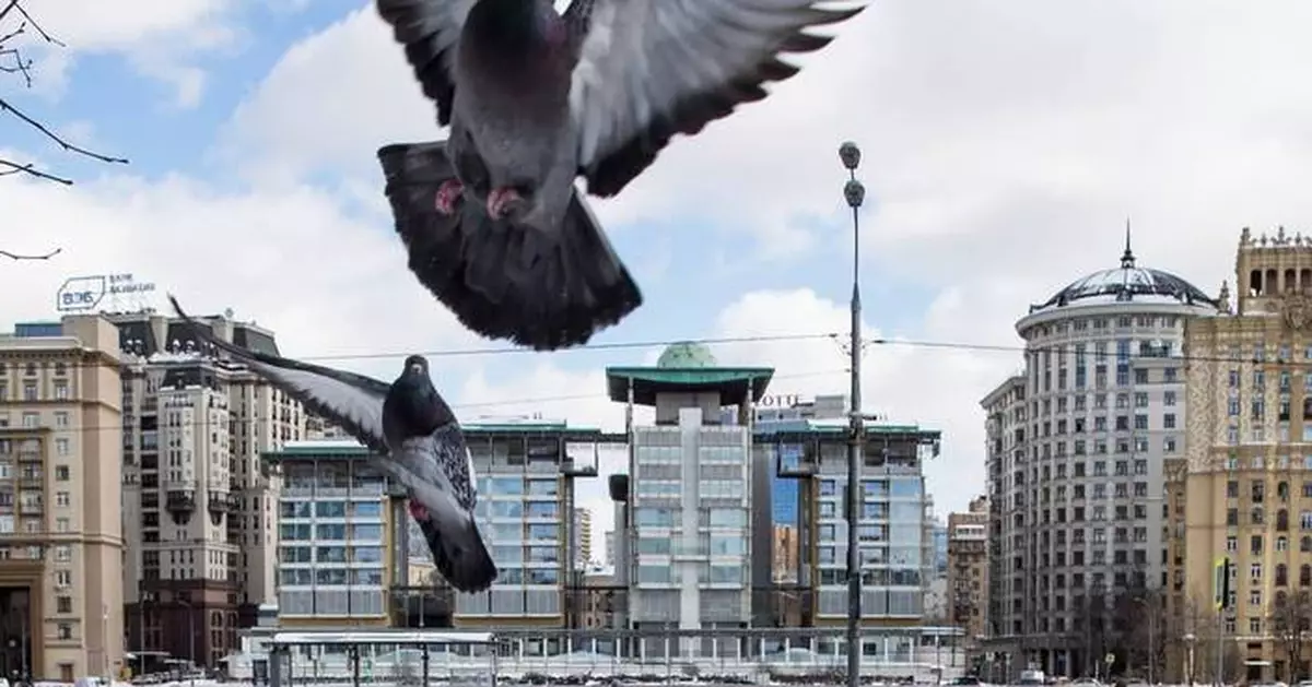 Russia expels British diplomat from Moscow embassy over spying claims