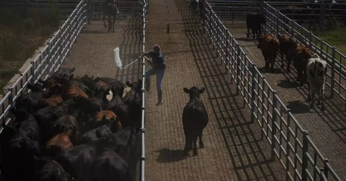 Forget tariff wars: The EU and Mercosur build one of the world's biggest free-trade zones