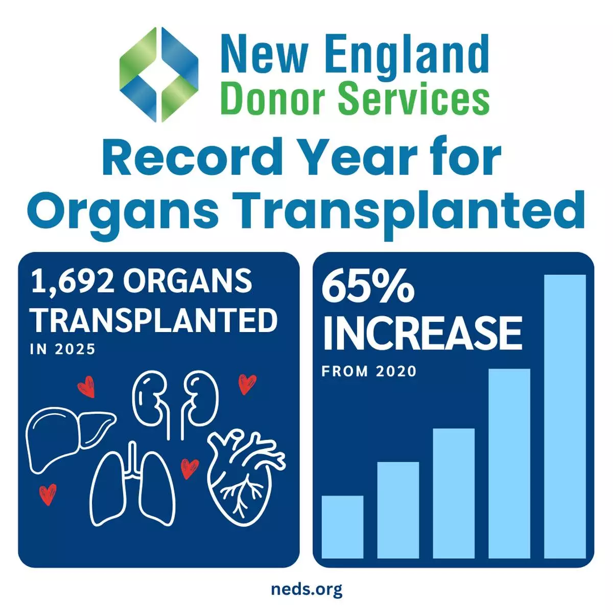 In 2025, NEDS coordinated organ donations from 640 deceased donors resulting in a record 1,692 life-saving transplants. Since 2020, NEDS has increased the number of life-saving organ transplants from New England organ donors by a total of 65 percent.