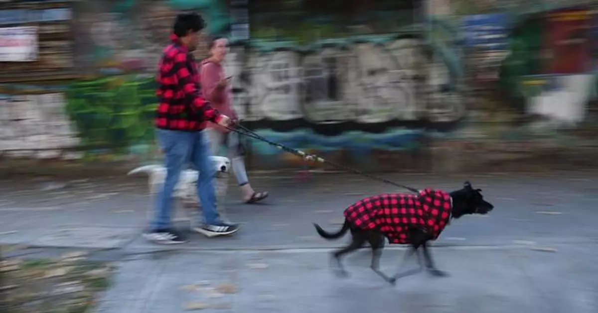 Earthquake with a preliminary magnitude of 6.5 rattles southern and central Mexico