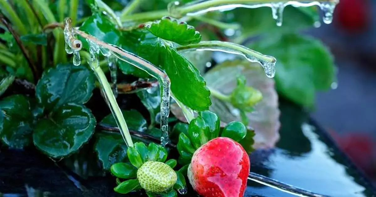 Warming shelters for the homeless are open as Florida experiences its coldest weather this winter