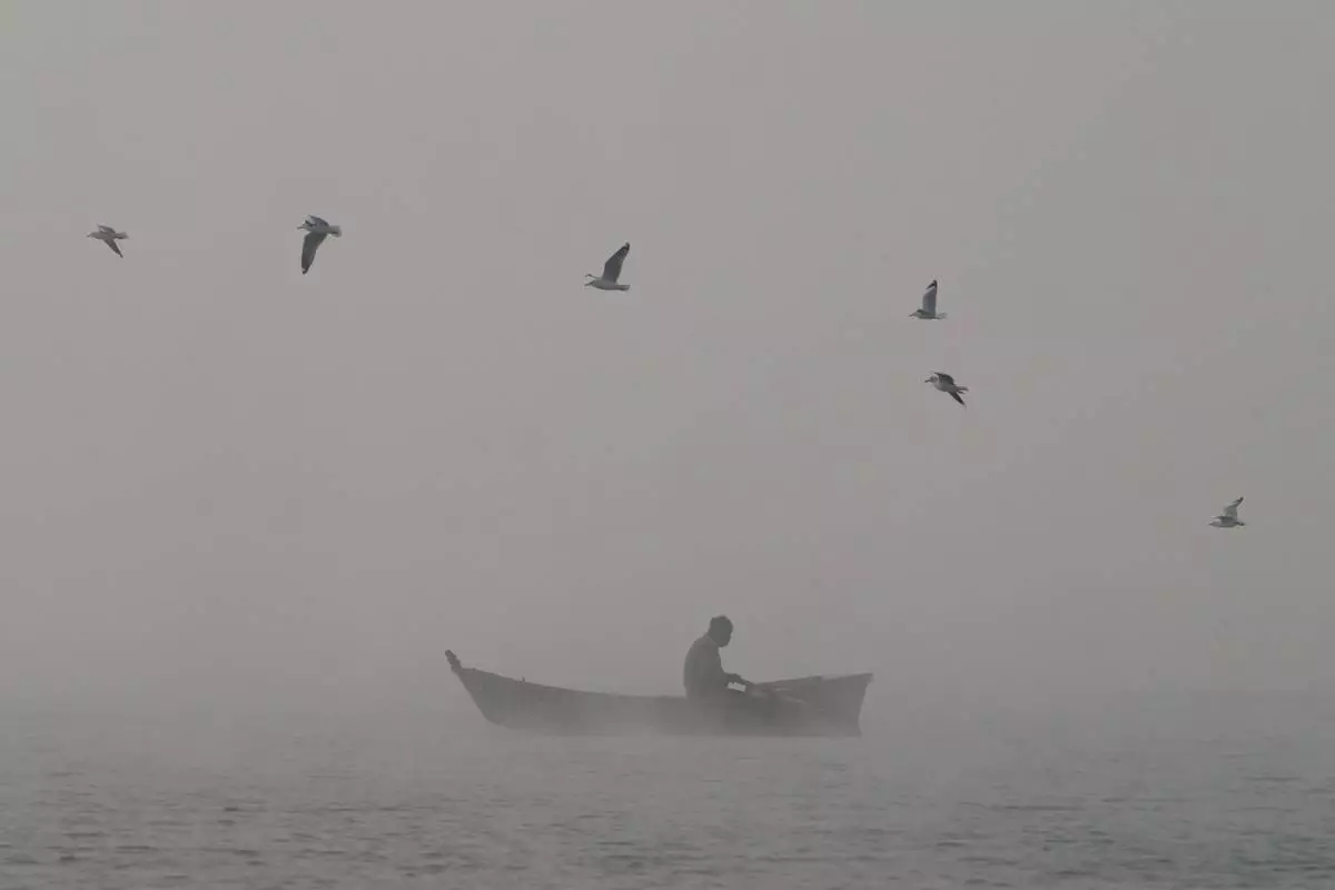 FILE - Gulls fly over a fisherman returning in his boat after working on the Pong Dam reservoir in Nagrota Suriyan, India, Dec. 27, 2025. (AP Photo/Ashwini Bhatia, File)