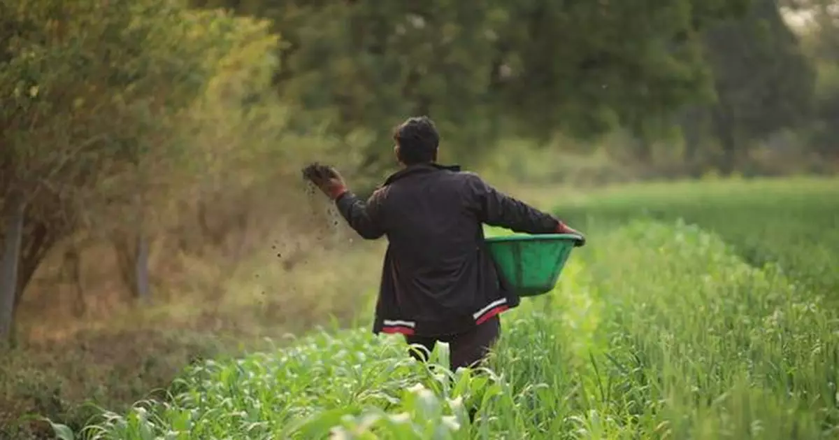 Varaha Signs Carbon Removal Agreement with Microsoft