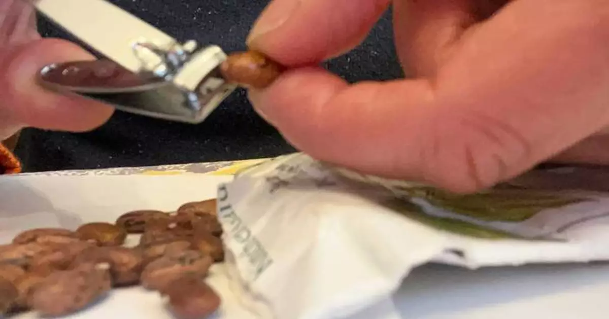 Scarification: The simple seed-starting trick that helps tough-coated seeds sprout faster