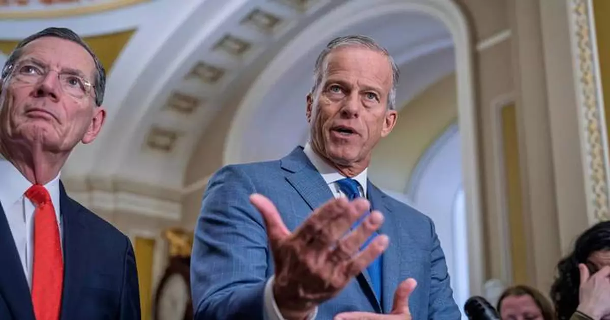 Republican voter ID bill stalls in Senate despite Trump demands