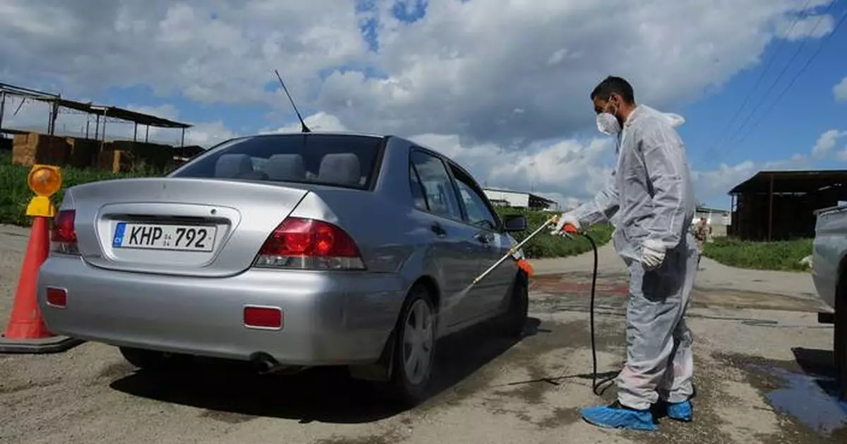 Cyprus plans mass livestock vaccination to halt spread of foot-and-mouth disease