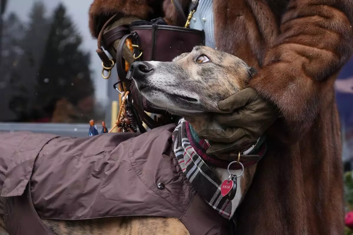 Cecilia Secondin poses with her dog Porter in Cortina d'Ampezzo, Italy, Saturday, Feb. 14, 2026. (AP Photo/Alessandra Tarantino)