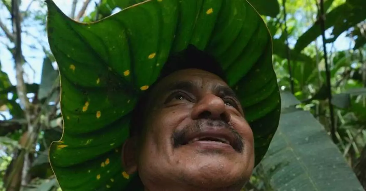 Seed guardians of the Amazon: A family's solitary fight to save endangered plants