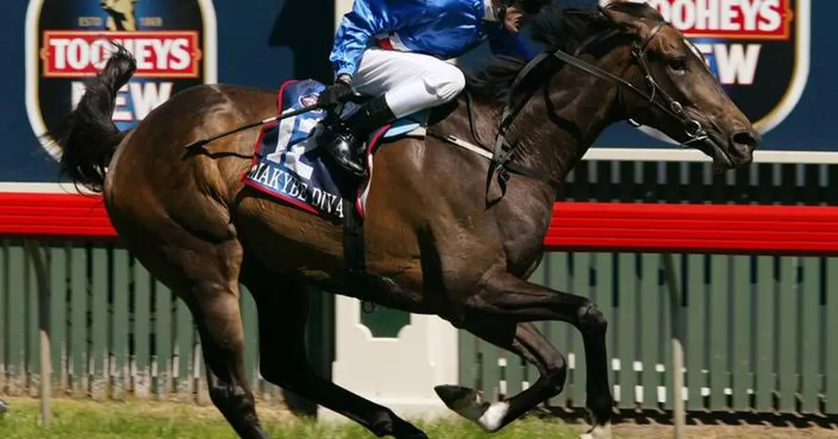 Three-time Melbourne Cup-winning horse Makybe Diva dies at 26