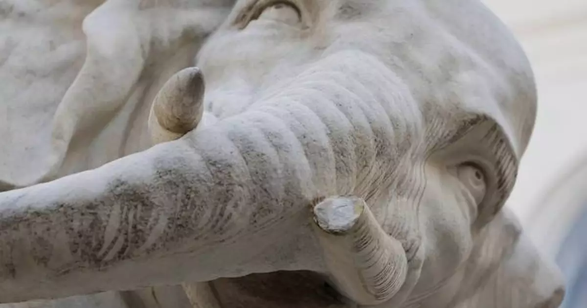 Police investigate how Rome's beloved Bernini elephant sculpture lost the tip of its tusk — again