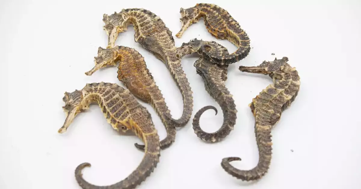 AFCD Warns Against Importing Endangered Species Without License Ahead of Chinese New Year