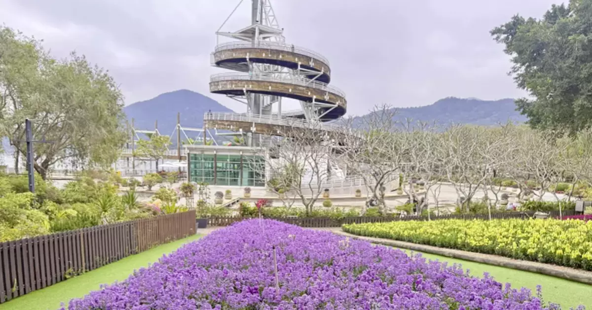 Hong Kong Flower Show 2024: A Fragrant Journey Through Floral Beauty at Victoria Park!