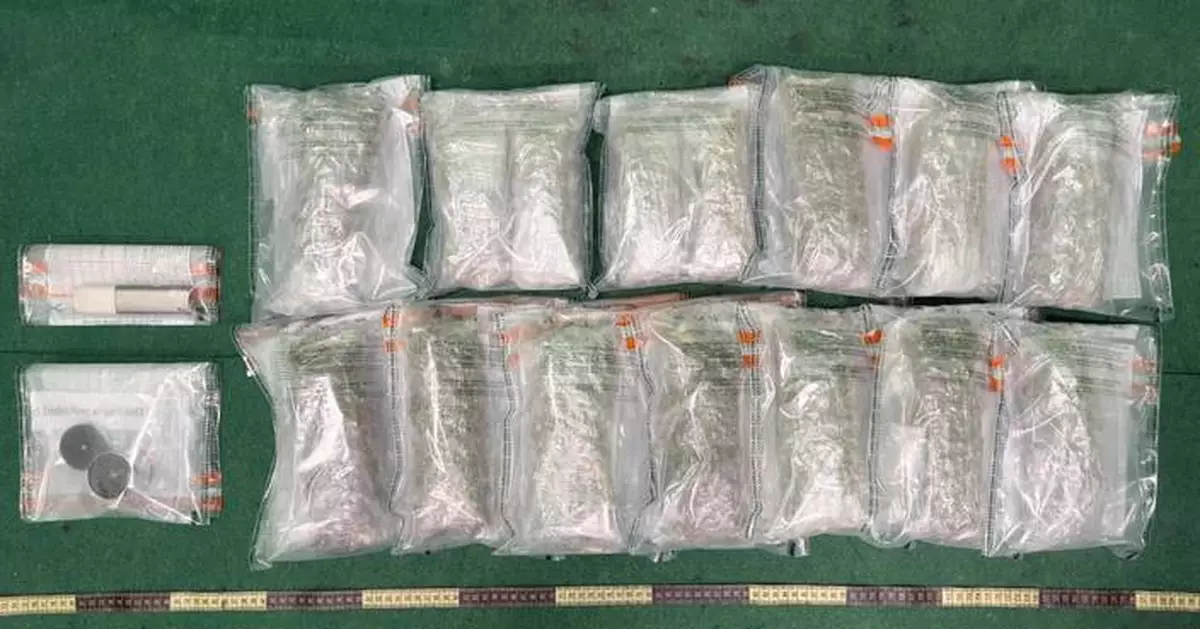 Hong Kong Customs Seizes 3kg of Cannabis in Airport Drug Trafficking Arrest