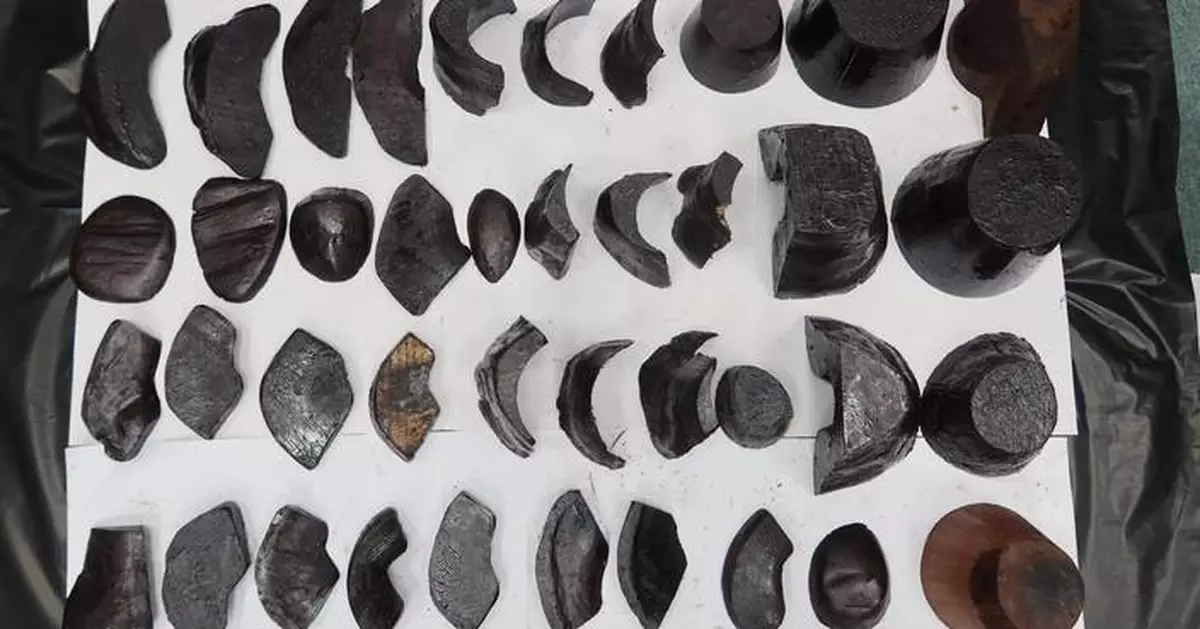 Chinese Man Sentenced to 24 Months for Smuggling Rhino Horns into Hong Kong