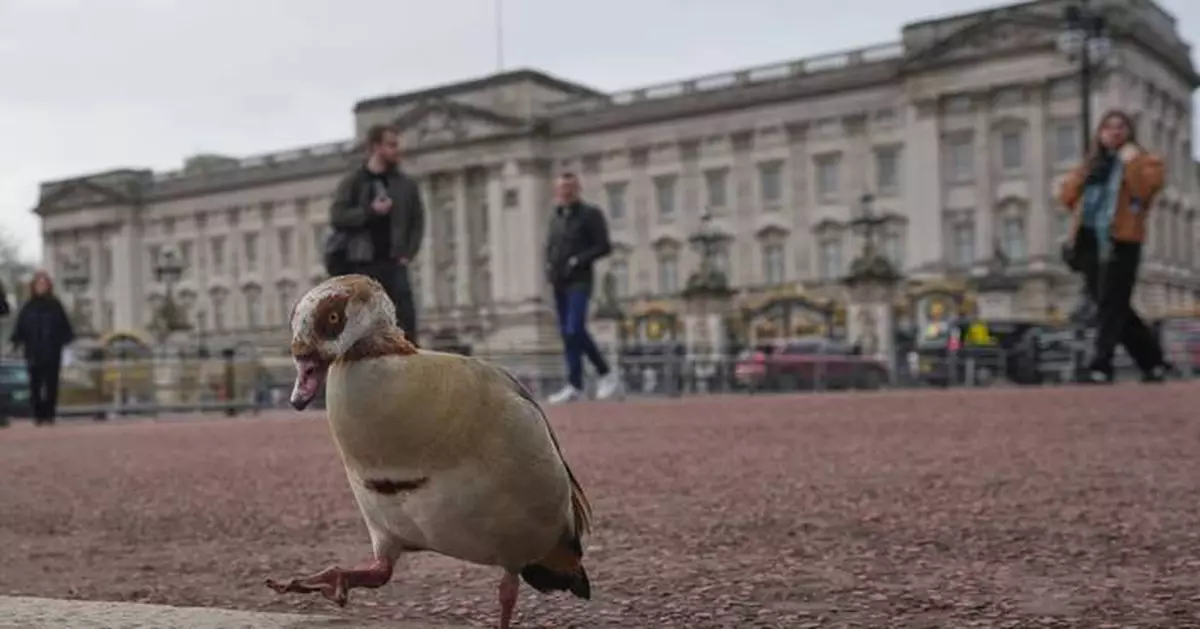 From abdication to Diana, Harry and ex-Prince Andrew. A look at major British royal scandals