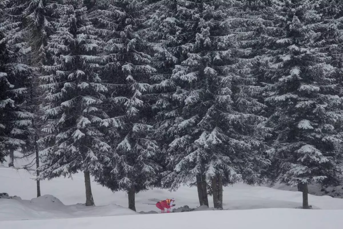 Athletes train before the men's 4 x 7.5km biathlon relay at the 2026 Winter Olympics in Anterselva, Italy, on Tuesday, Feb. 17, 2026. (AP Photo/Christophe Ena)