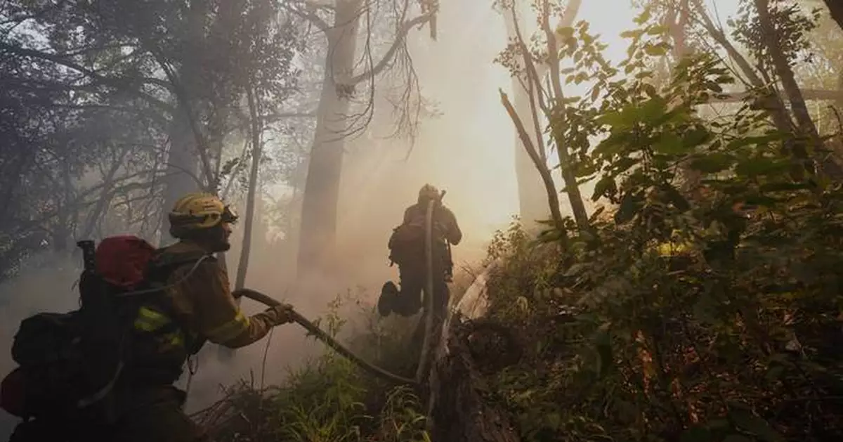 Argentina fires ravage pristine Patagonia forests, fueling criticism of Milei's austerity
