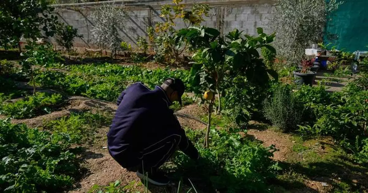 Misery deepens in the West Bank as Israel provides few Palestinian work permits