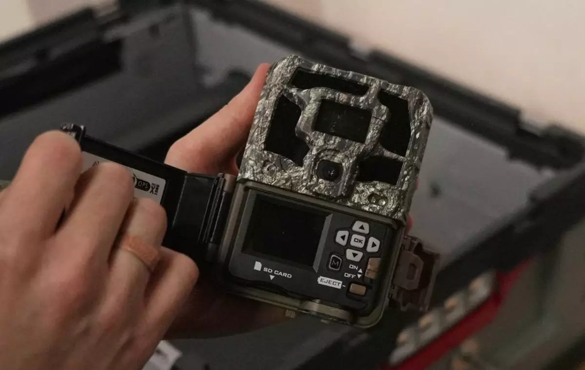 Doctoral student Marco Granata shows the camera he uses to film stoats, Wednesday, Feb. 11, 2026, in Turin, Italy. (AP Photo/Brittany Peterson)