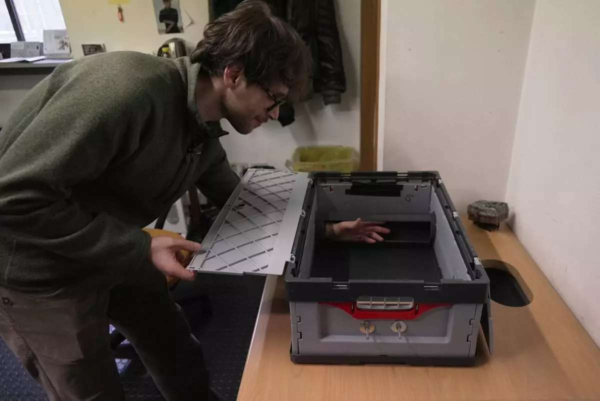Doctoral student Marco Granata stretches his arm through an open tunnel in a device that allows stoats to enter and exit freely, while a camera captures footage of them, Wednesday, Feb. 11, 2026, in Turin, Italy. (AP Photo/Brittany Peterson)