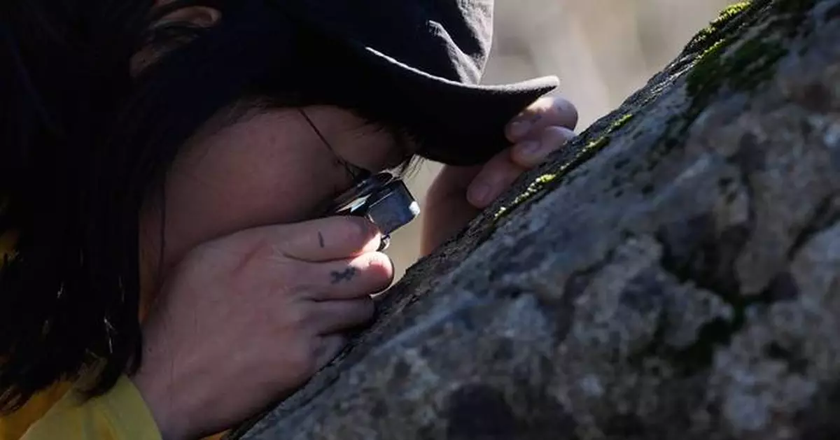 To aficionados, fungi are freaky, mystical and overlooked. They're helping scientists learn more