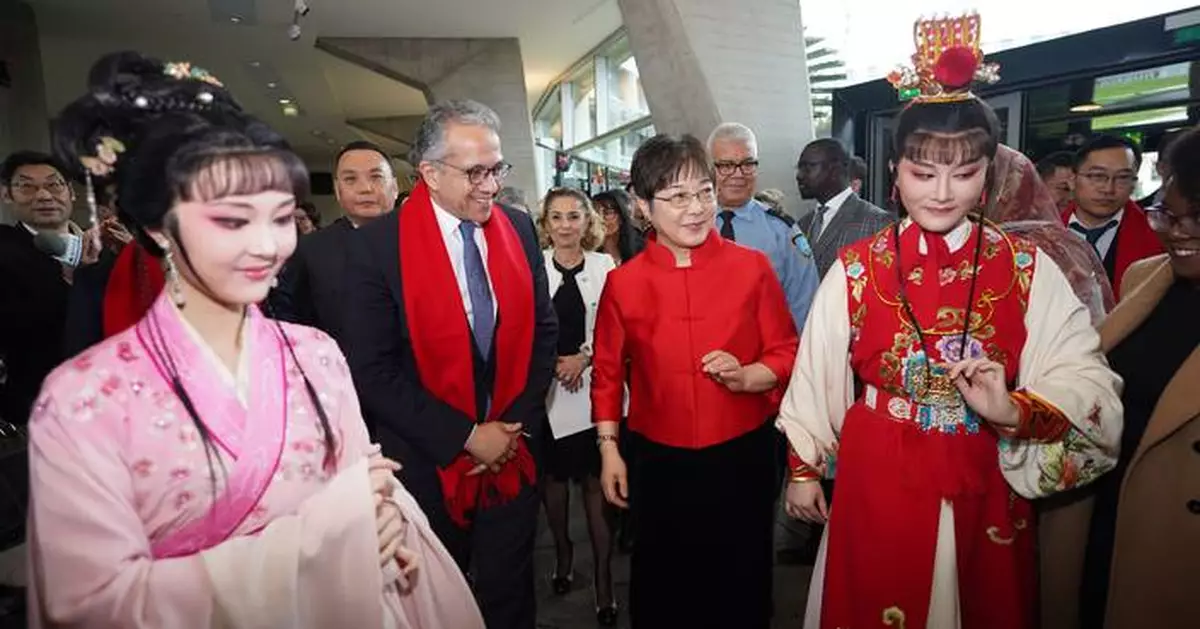 An Encounter with China: Chinese New Year in Paris: Nanjing Intangible Cultural Heritage Shines