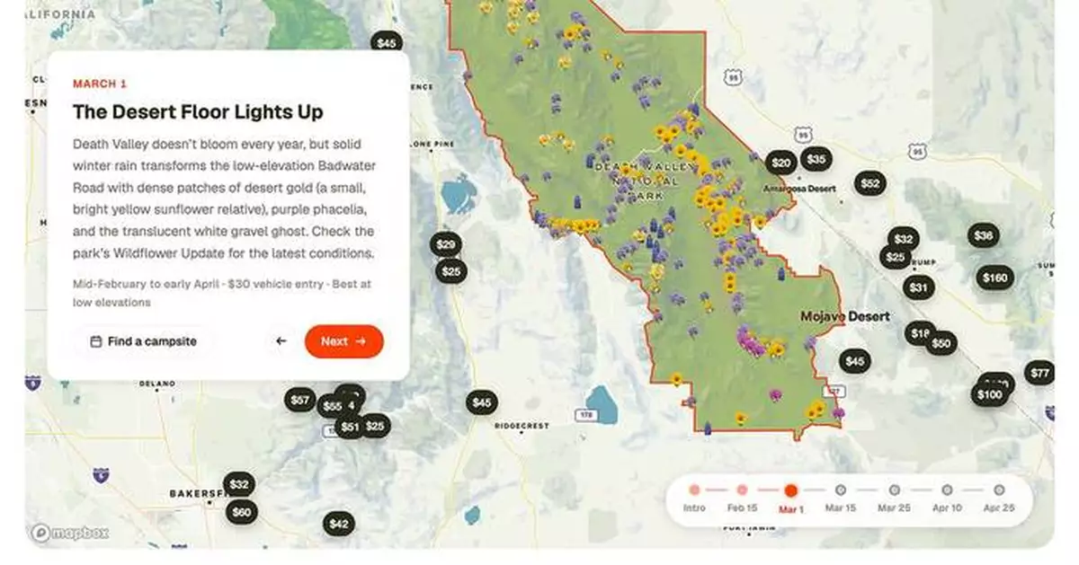 Hipcamp Launches Interactive California Superbloom Forecast Built From 150,000+ iNaturalist Observations