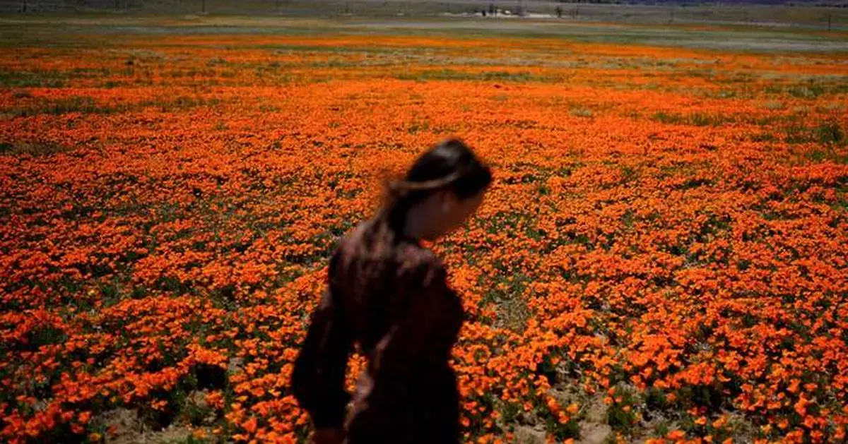 Welcome to allergy season. Here's how to protect yourself