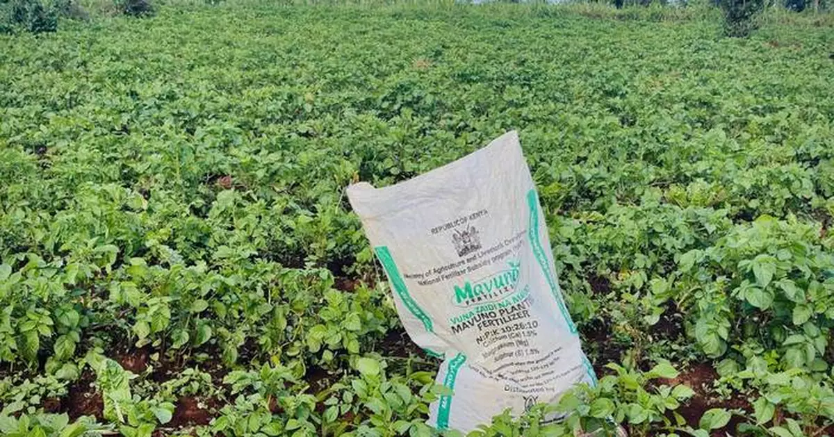 The war in Iran sparks a global fertilizer shortage and threatens food prices