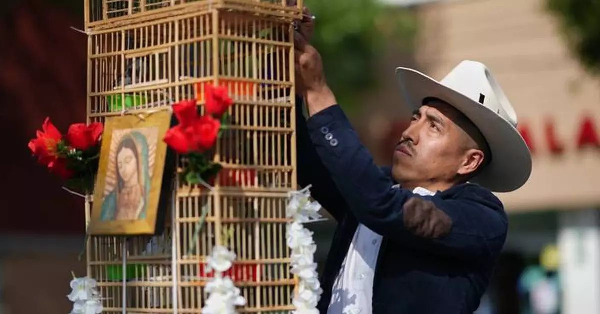 These men carry towers of birds through Mexico's streets. They say their tradition is dying