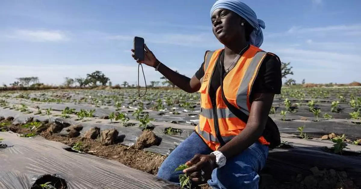 Some West African farmers turn to TikTok as part of agriculture's changing image