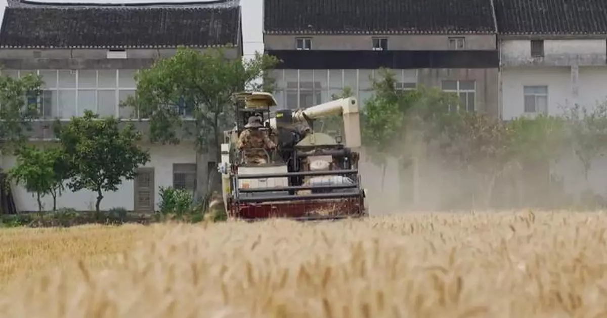 NPC deputy vows to fortify China's food security through seed innovation