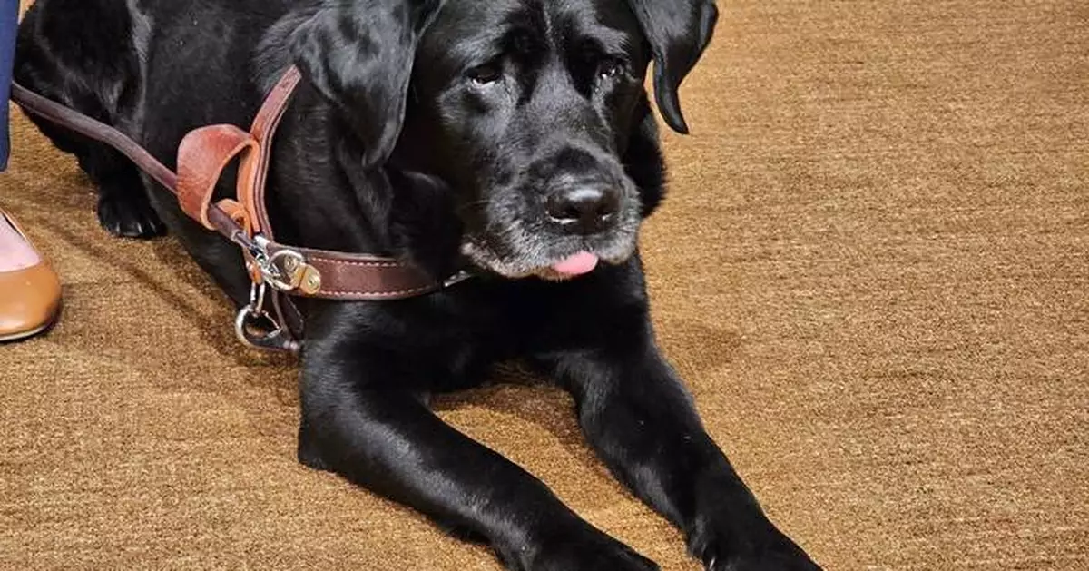 A service dog named Alfred sparked a Lyft settlement in Minnesota with nationwide reach
