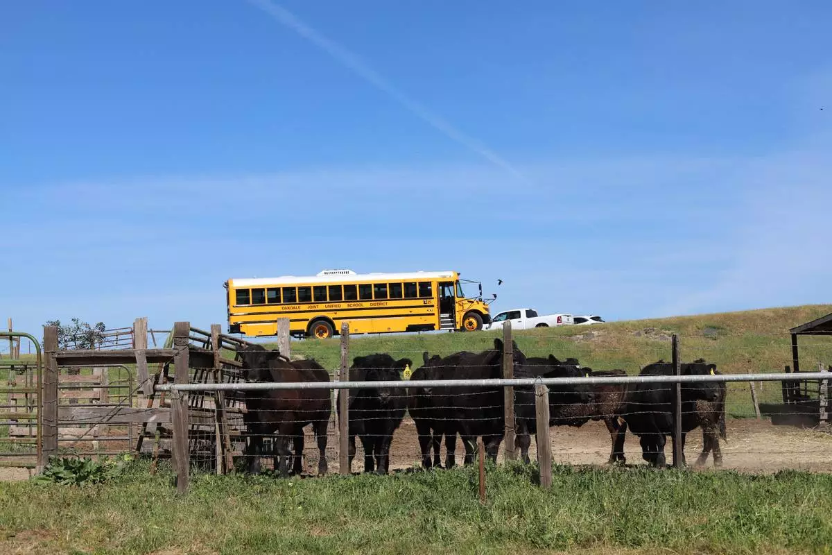 School nutrition professionals attending day one of the California Beef Council’s Ranch-to-Tray tour visited Ardis Cattle Company, which sells beef directly to the Oakdale Joint Unified School District. Photo courtesy of California Beef Council.