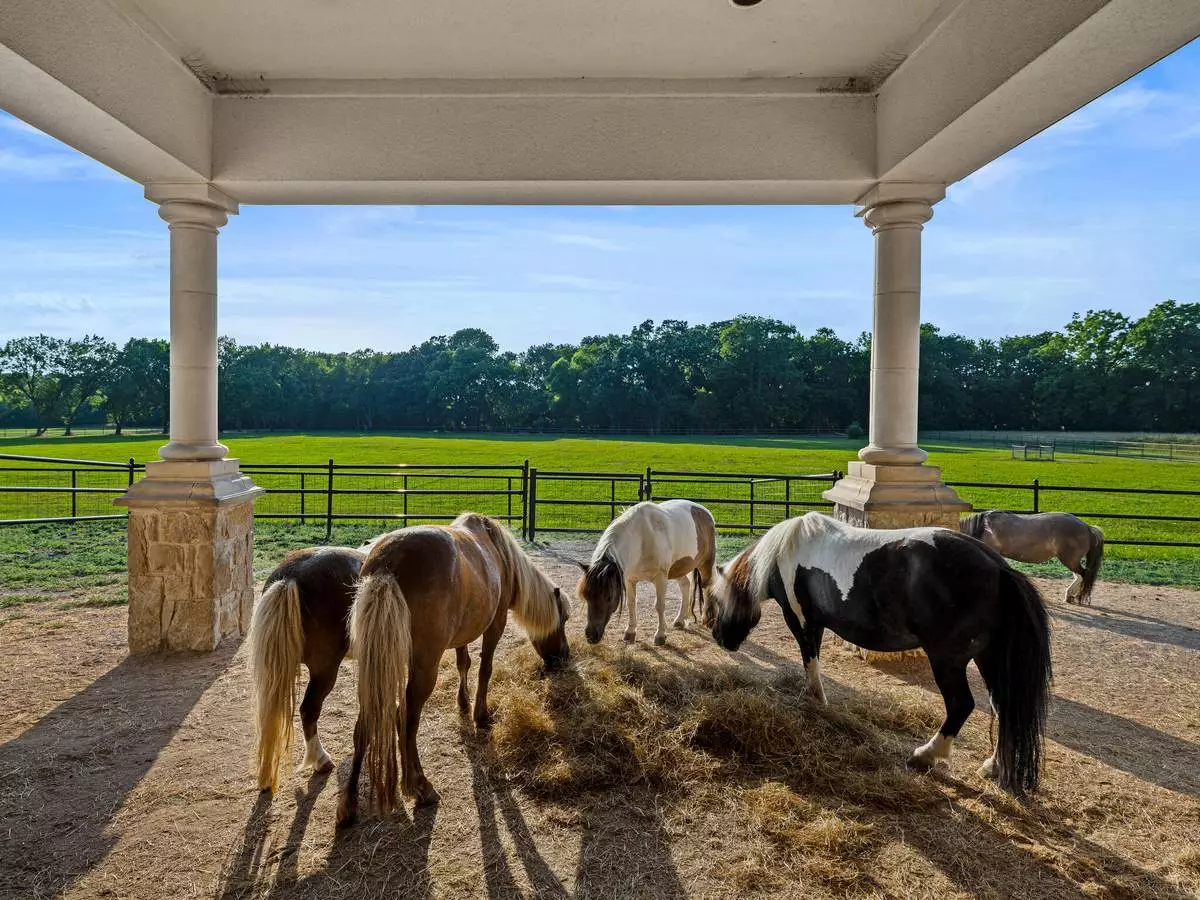 A separate four-stall barn and pasture will satisfy equestrian lovers (Photo Credit: Camila Will Photography).