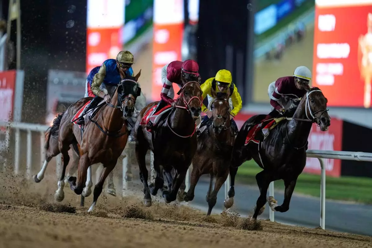 Magnitude, right, with jockey Jose Ortiz, leads the field into a turn after the start on they way to winning the $12 million Dubai World Cup horse race over 2000m (10 furlongs) at Meydan Racecourse in Dubai, the United Arab Emirates, Saturday, March 28, 2026. (AP Photo/Altaf Qadri)