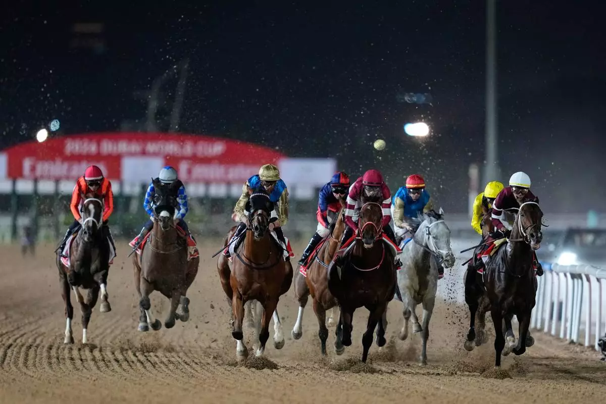 Magnitude, right, with jockey Jose Ortiz, leads after the start on they way to winning the $12 million Dubai World Cup horse race over 2000m (10 furlongs) at Meydan Racecourse in Dubai, the United Arab Emirates, Saturday, March 28, 2026. (AP Photo/Altaf Qadri)