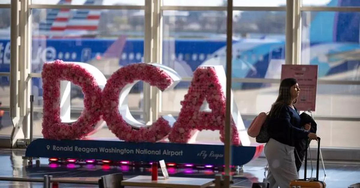 Washington-area airports halt flights due to chemical smell at air traffic center