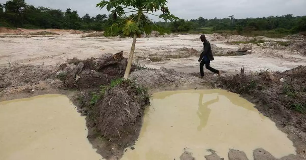 Cocoa beans rot and West African farmers seek other options after commodity crash