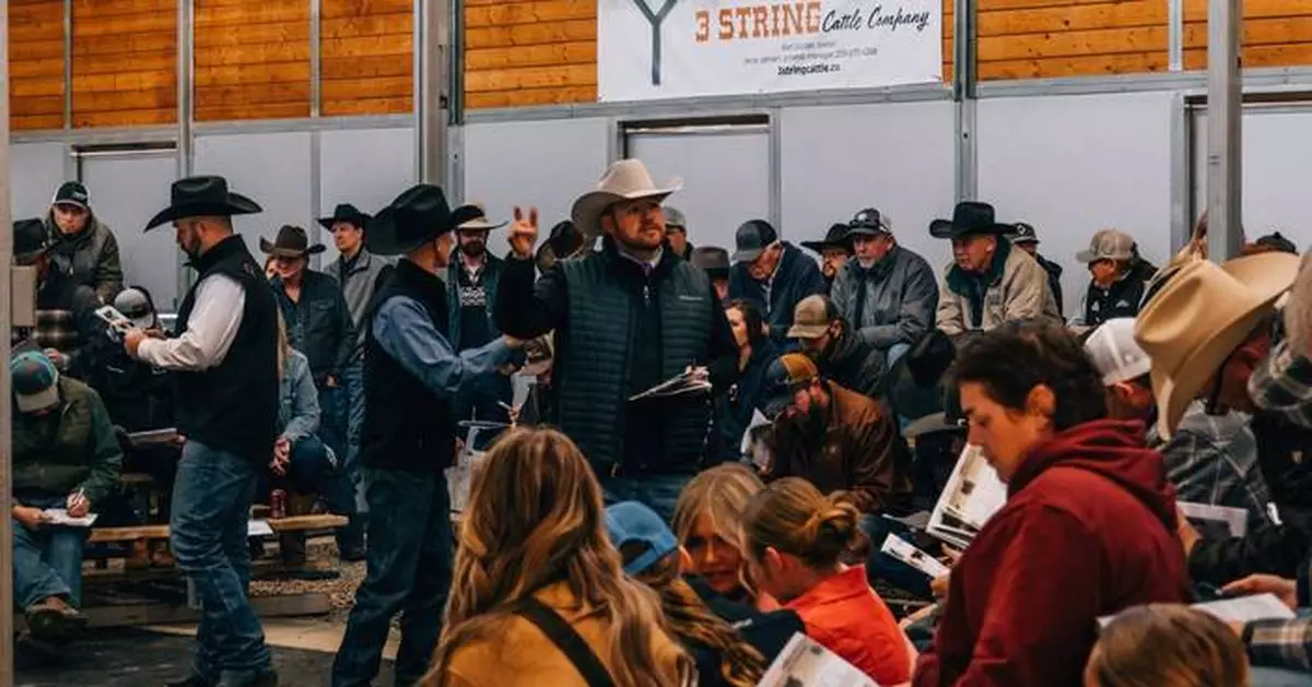 Karl Studer and Jesse Jensen’s 3 String Cattle Co. Sets Record at Annual Bull Sale, Topping $1.25 Million in Total Gross Revenue